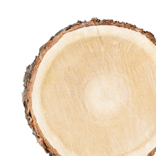 Wood as you don't know it